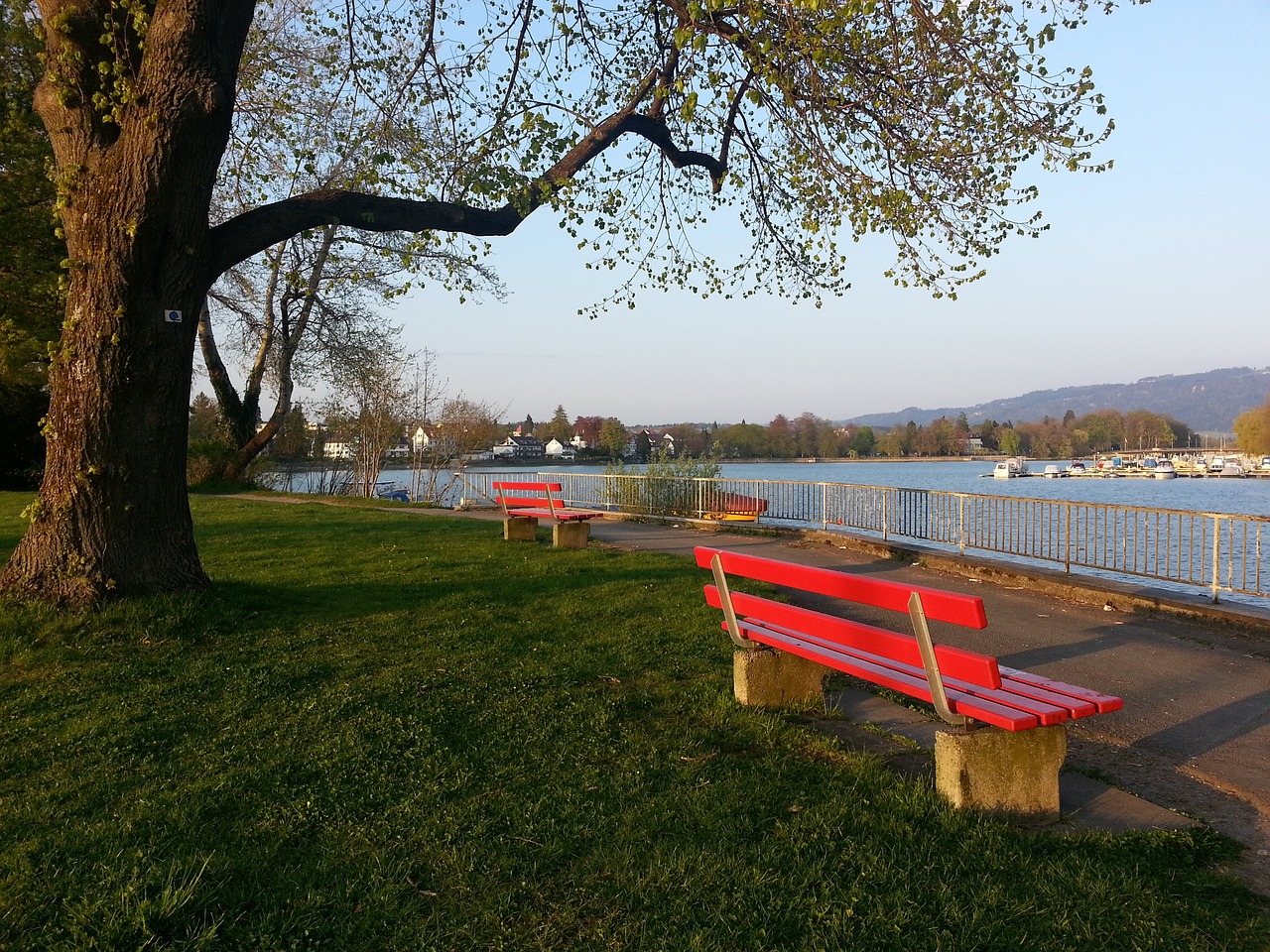 我们将详细 我们将详细