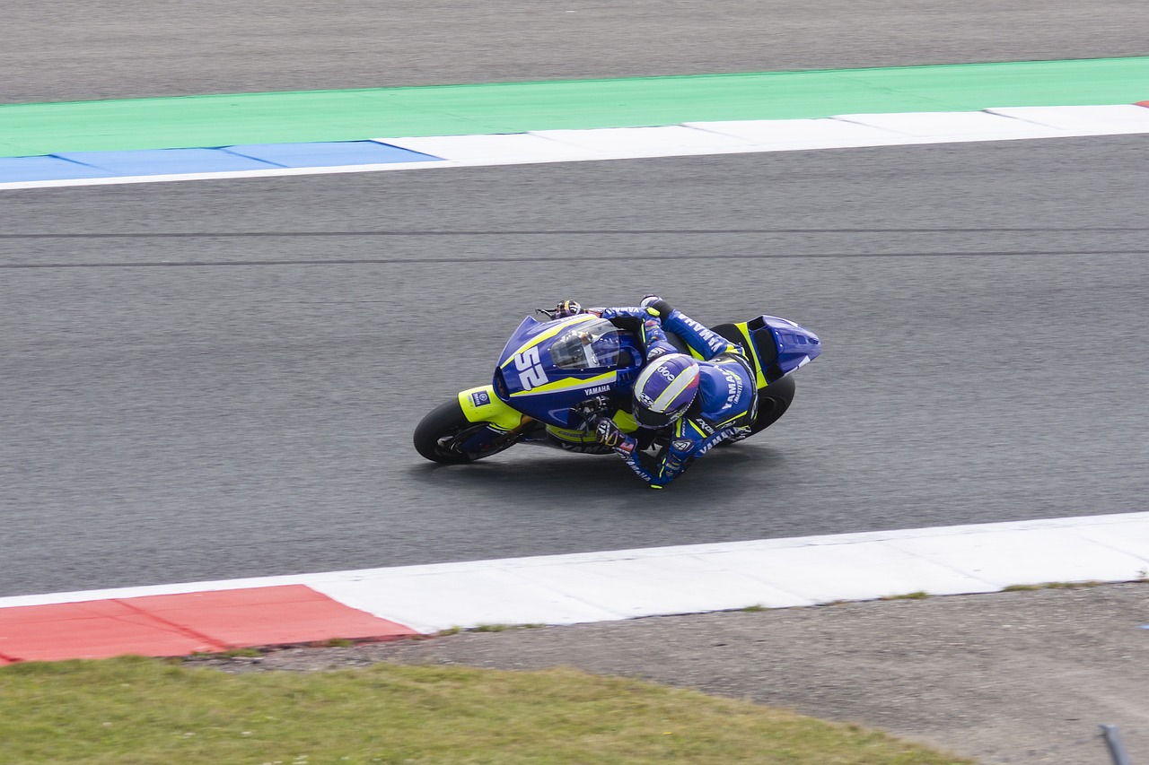 有的荣誉 有的荣誉